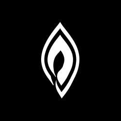 ffp effects, Inc logo