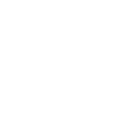 Acesonic USA logo